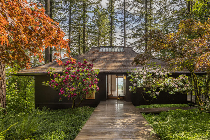 A wooden house surrounded by lush greenery and colorful flowers, with a walkway leading to the entrance, amidst tall trees.