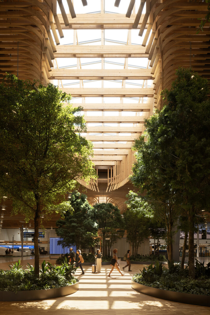 Un atrium spacieux, conçu par ZGF, dispose d'un plafond de verre et est rempli de grands arbres et plantes. Les gens traversent la zone alors que la lumière pénètre d’en haut, illuminant la verdure luxuriante.