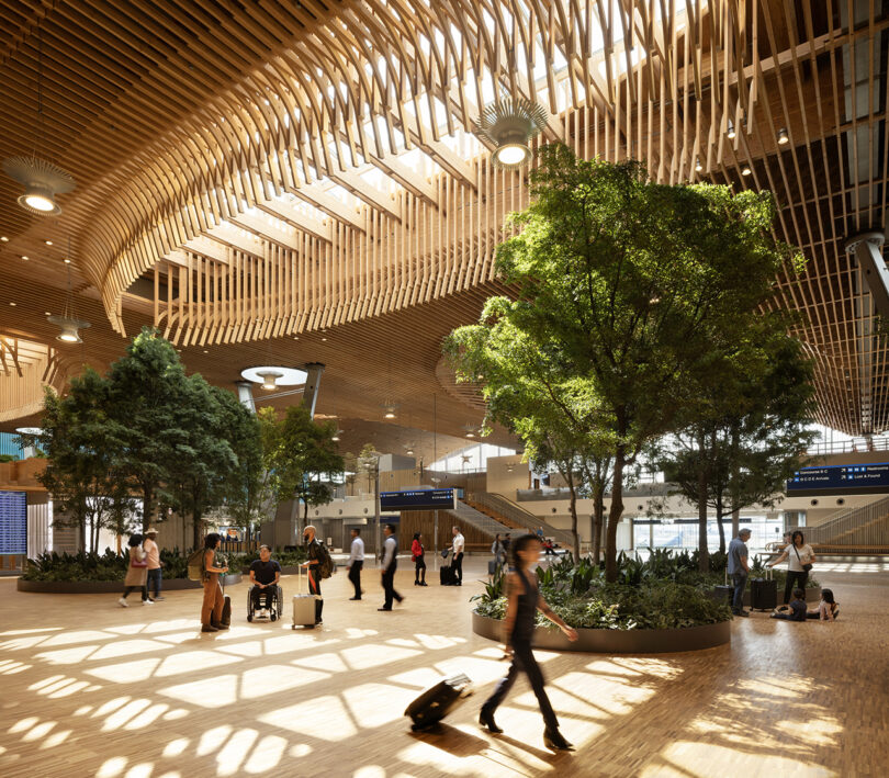 Le spacieux terminal de l'aéroport, doté de l'élégant plafond en bois de ZGF, présente des arbres intérieurs pendant que les voyageurs se promènent avec leurs bagages. La lumière naturelle filtre à travers les lucarnes, créant une ambiance sereine.