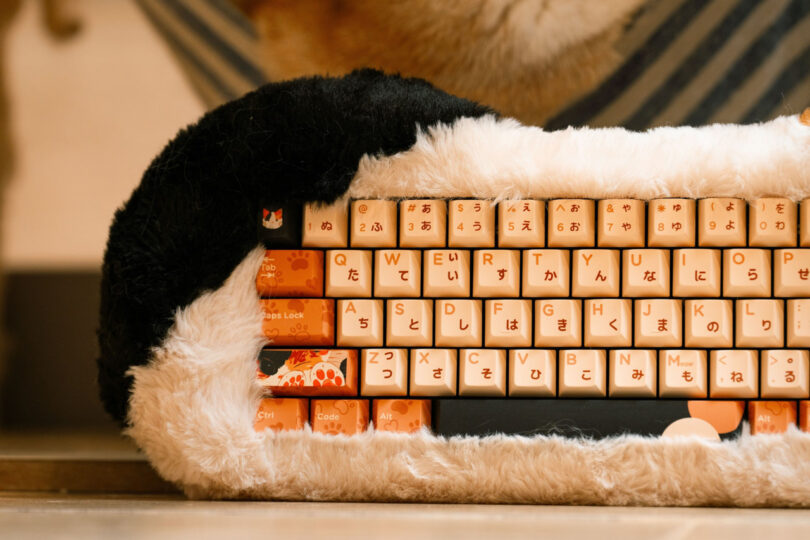 A keyboard with orange keys and Japanese characters, encased in a fluffy, panda-themed cover.