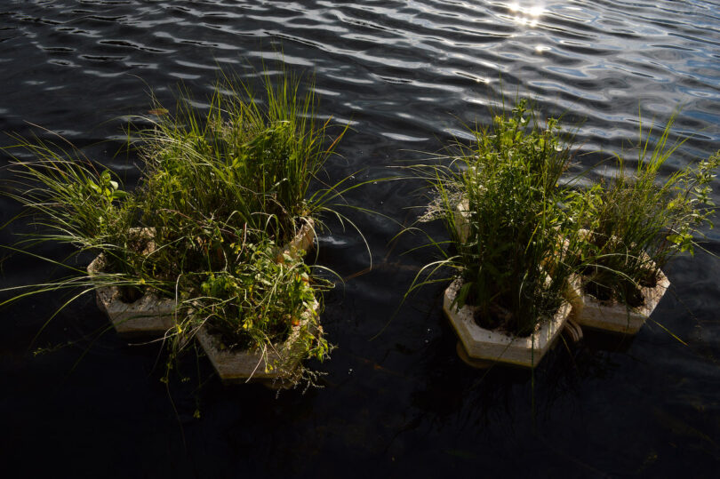 Three floating planters with greenery on a body of water reflect sunlight