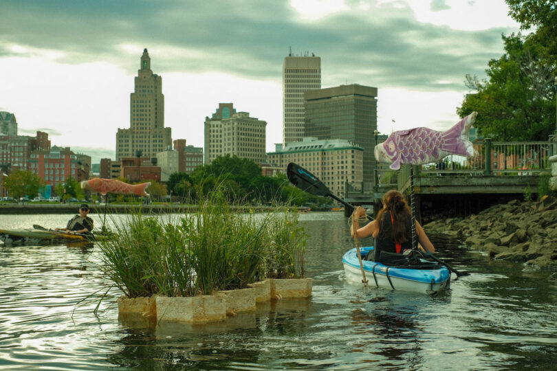 Kayakers paddle on a river in a city, with tall buildings in the background. One kayak features a pink fish flag. Floating plants are seen in the water