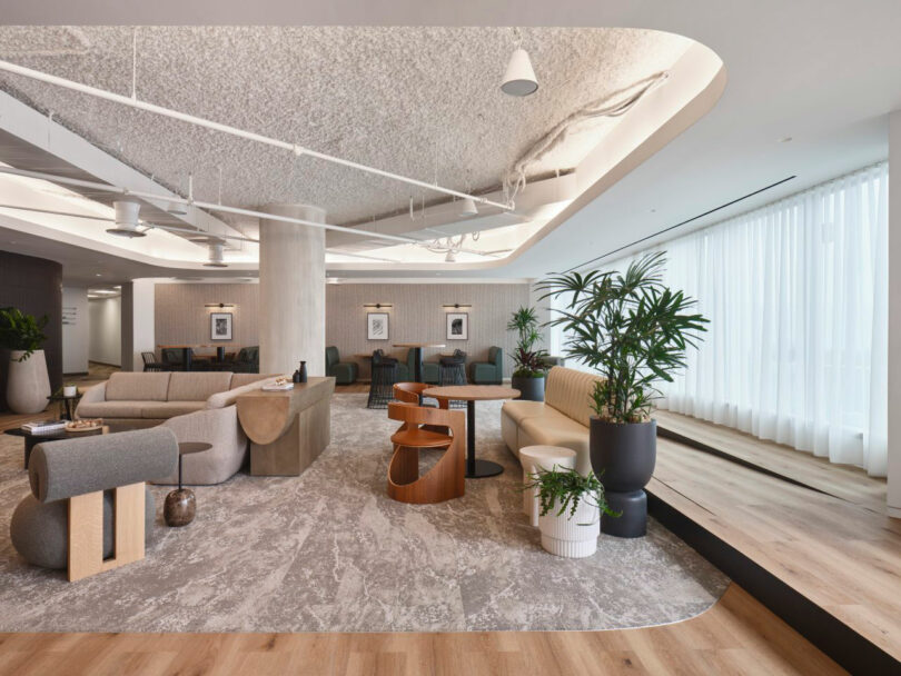 Modern office lounge with contemporary furniture, large plants, wooden flooring, and natural light from sheer curtains.