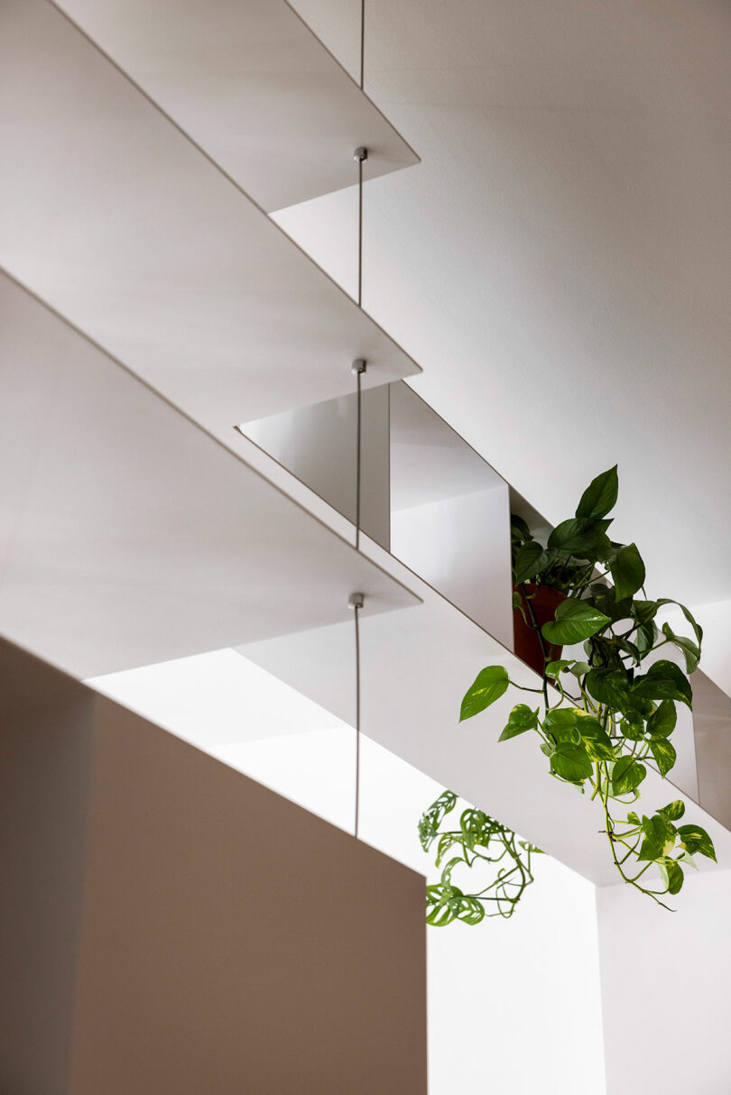 Modern interior with staggered white ceiling panels and hanging lights. A potted plant with green leaves is placed on top of a partition, adding a touch of nature to the minimalist space.