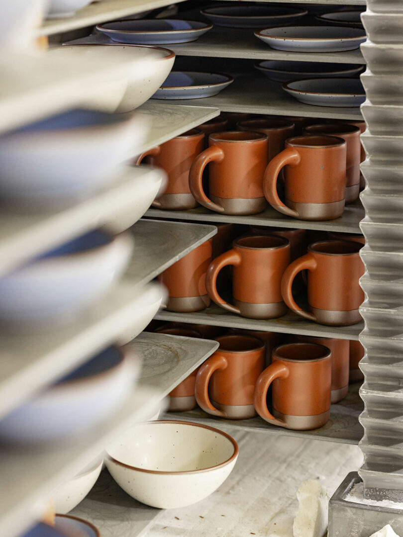 Shelves hold rows of ceramic mugs and bowls, mostly red and some white, in a pottery storage area reminiscent of Alex Matisse’s craftsmanship.