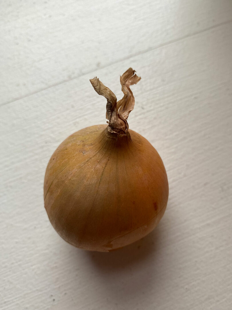 A single brown onion with a dry stem rests elegantly on a white surface, reminiscent of Rikke Frost's minimalist design approach.