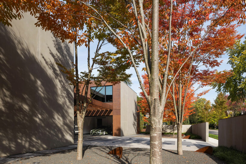 Edificio moderno con grandes paredes planas rodeadas de árboles con follaje de otoño. Un camino de entrada conduce a la entrada, y la luz del sol arroja sombras en el suelo.