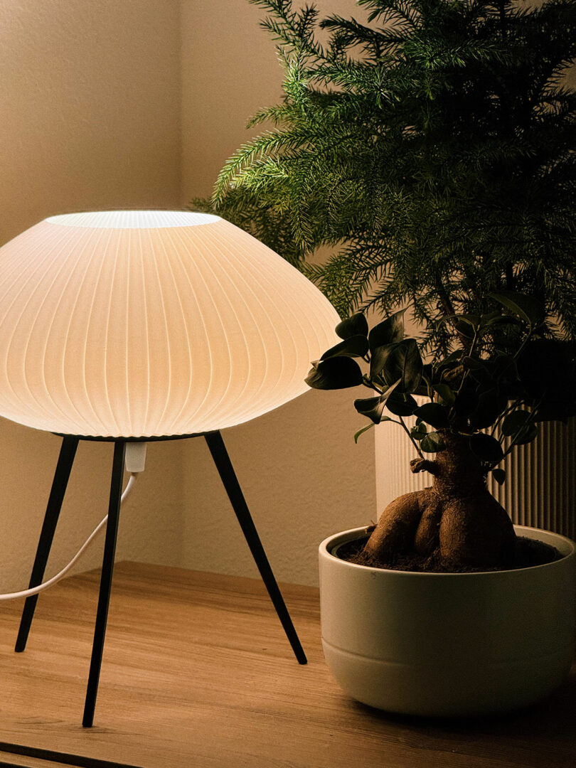 A glowing lamp on a tripod stand next to two potted plants on a wooden surface.