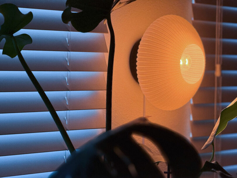 Wall-mounted lamp emitting warm light beside closed window blinds and silhouetted plant leaves.