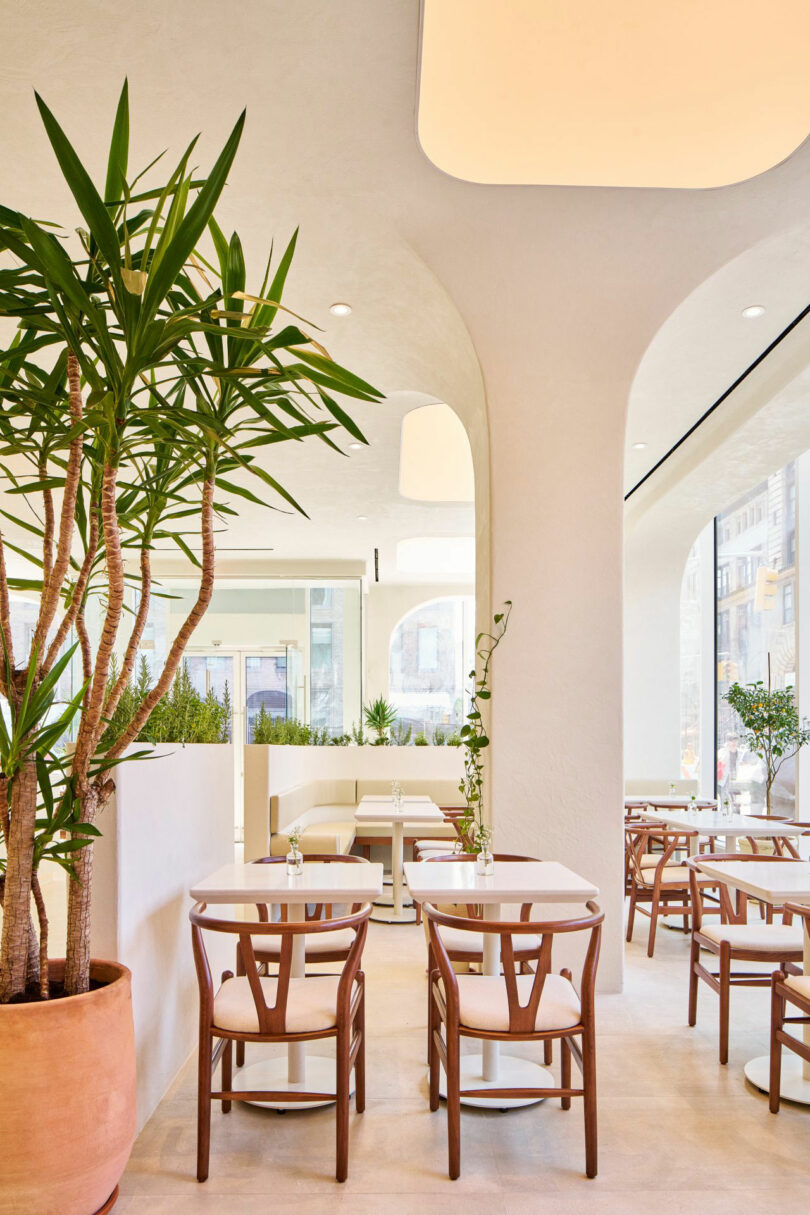 Modern cafe interior with wooden chairs, white tables, large potted plants, and arched windows allowing natural light.