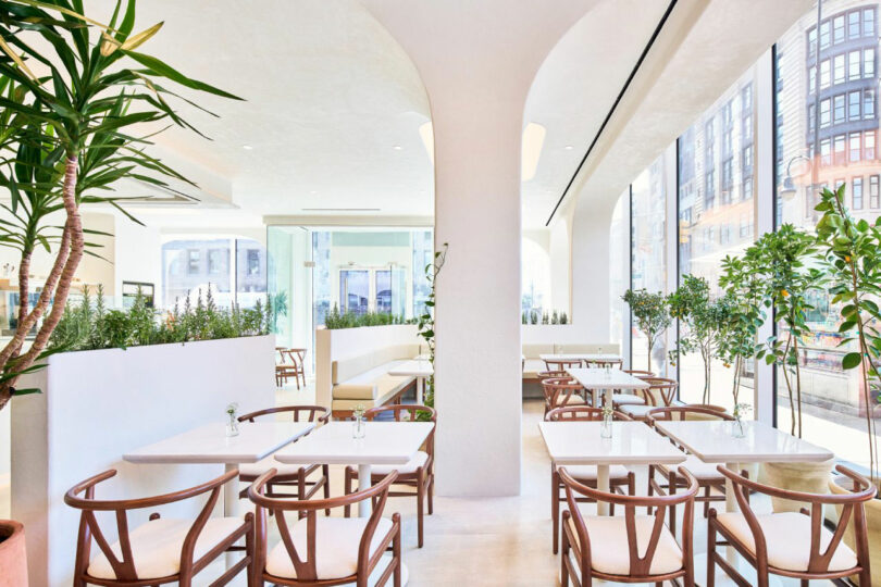 Bright, modern cafe interior with white walls, wooden chairs, and plants. Large windows reveal a cityscape outside.