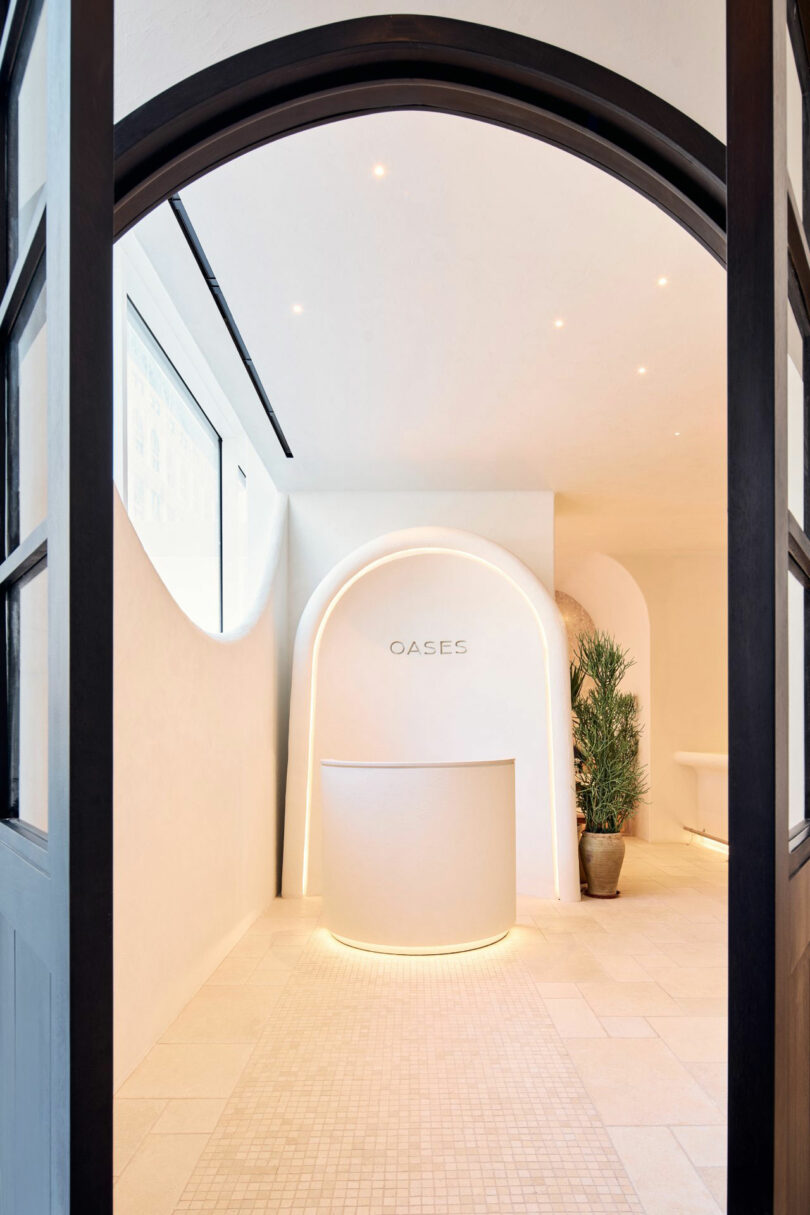 Modern minimalist reception area with a curved arch entrance, a round white desk, and the word "OASES" on the wall. A potted plant is positioned to the right of the desk.