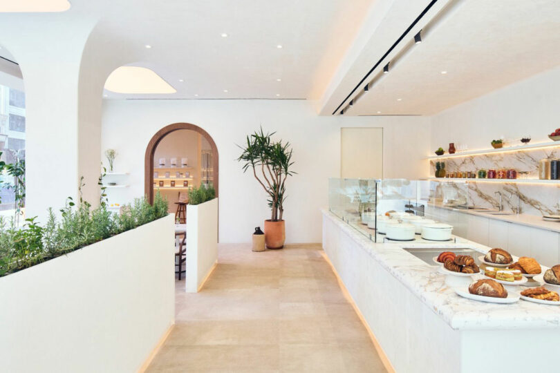 Bright, minimalist cafe interior with a marble counter displaying pastries and a potted plant. Earth-toned decor and archway lead to an additional seating area.