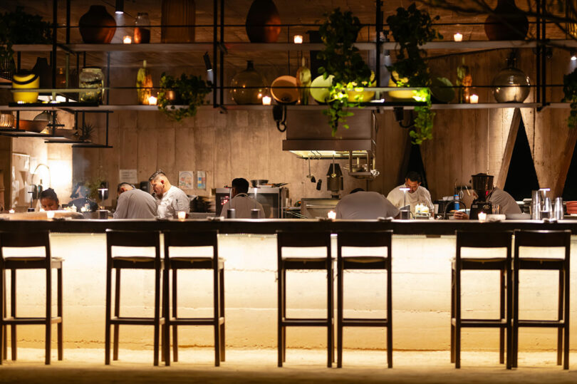 A dimly lit restaurant kitchen with chefs working behind a glowing countertop, surrounded by chairs and decorative plants hanging above.