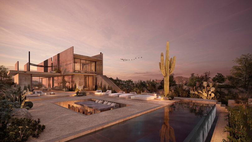 Modern house with large glass windows at sunset, surrounded by desert landscaping, including a prominently placed cactus and an infinity pool in the foreground. Birds fly in the background.