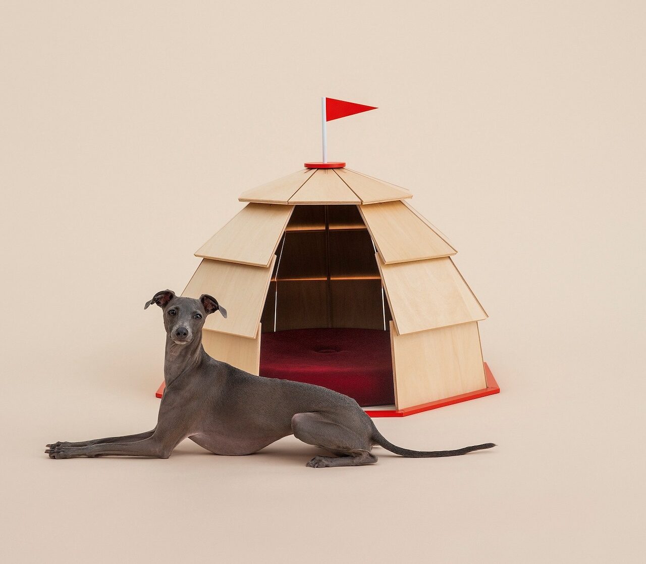 Take 5: Architecture for Dogs, Modern Tear-off Calendars, Organization Parcels + More