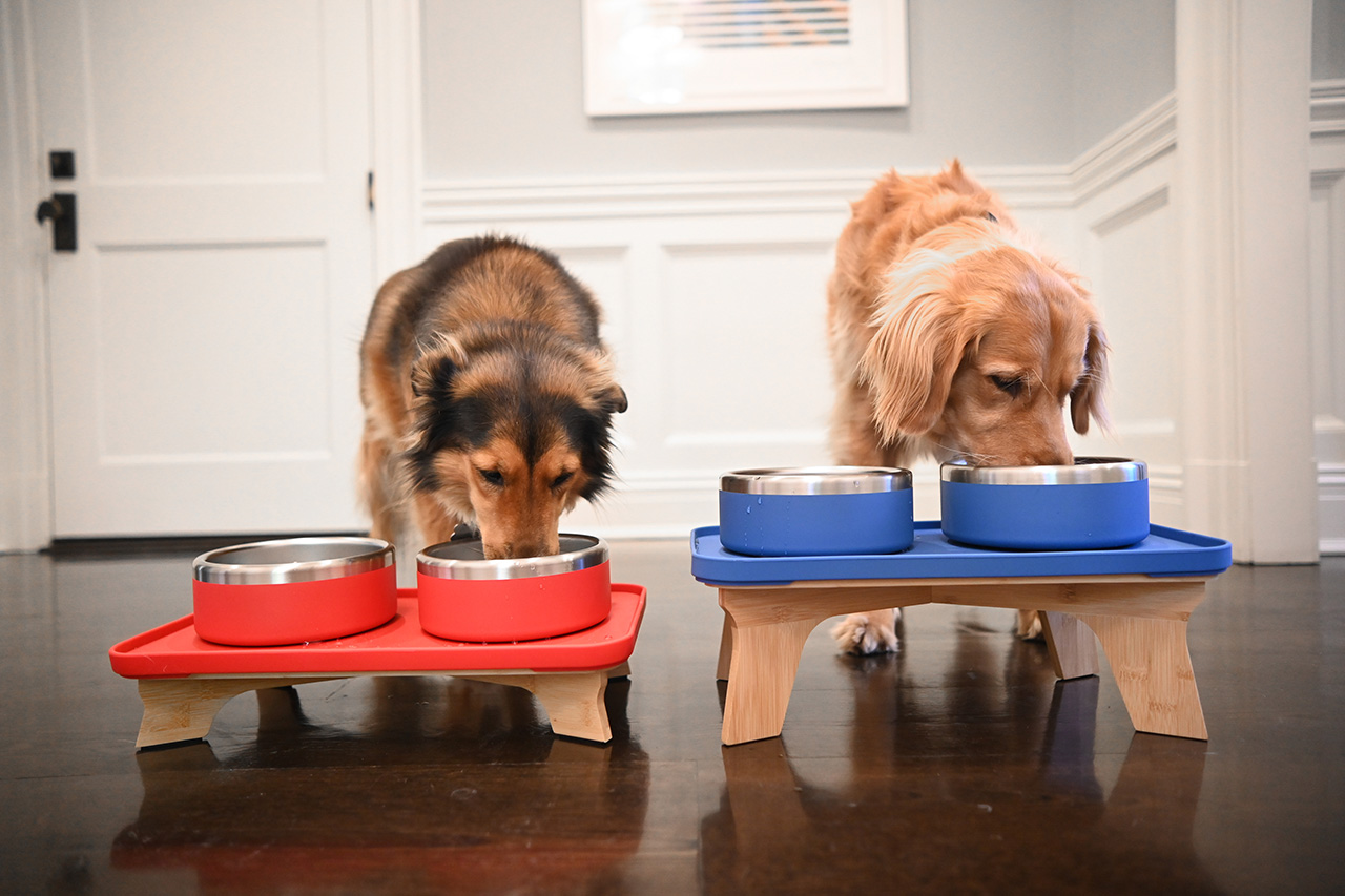 Trot Pets Unveils Chic System To Feed Your Furry Friends