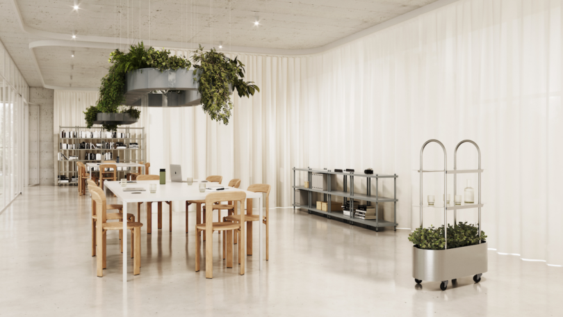 A modern office space with a long table and wooden chairs. Hanging plants are above, and shelves with plants and books are in the background. Floor-to-ceiling curtains line the walls