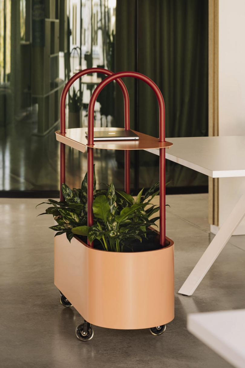 A movable planter with green plants and a laptop rests on a peach-colored base with red handles, placed indoors on a smooth floor near a white table