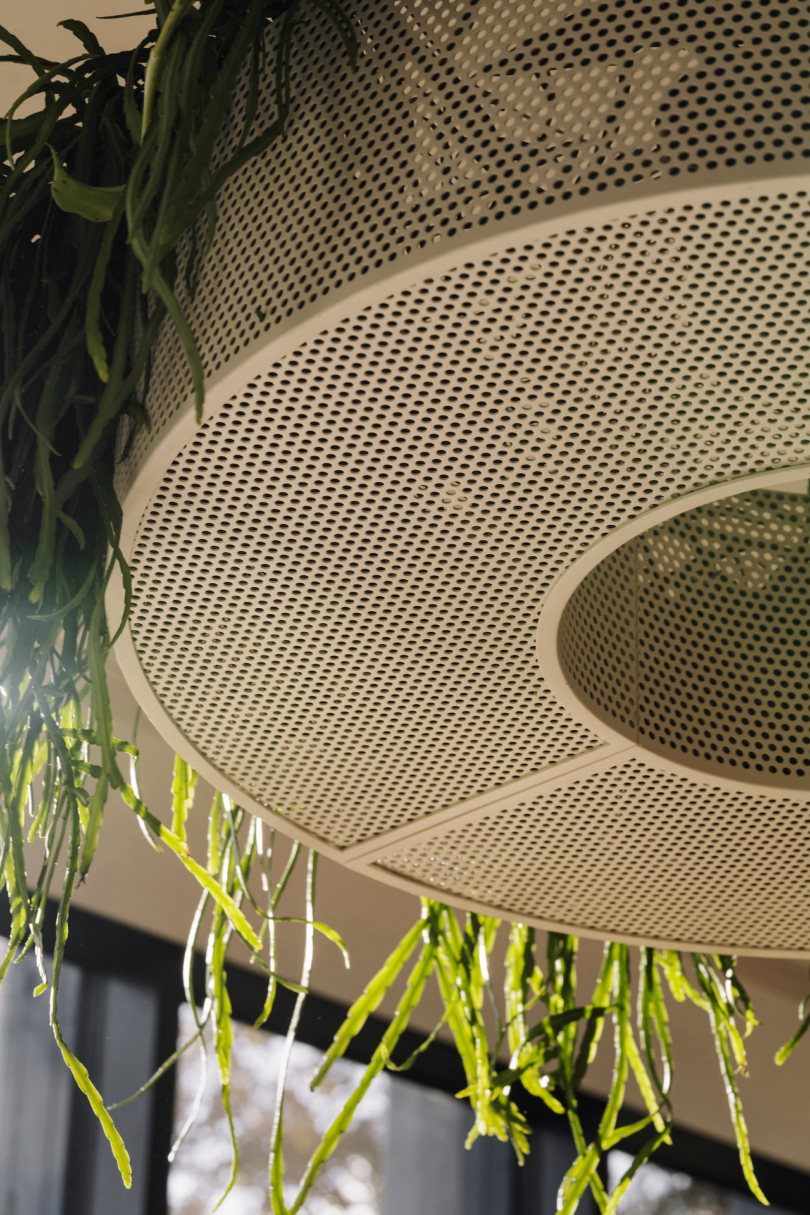 A large circular perforated metal fixture with green plants hanging down is suspended from the ceiling