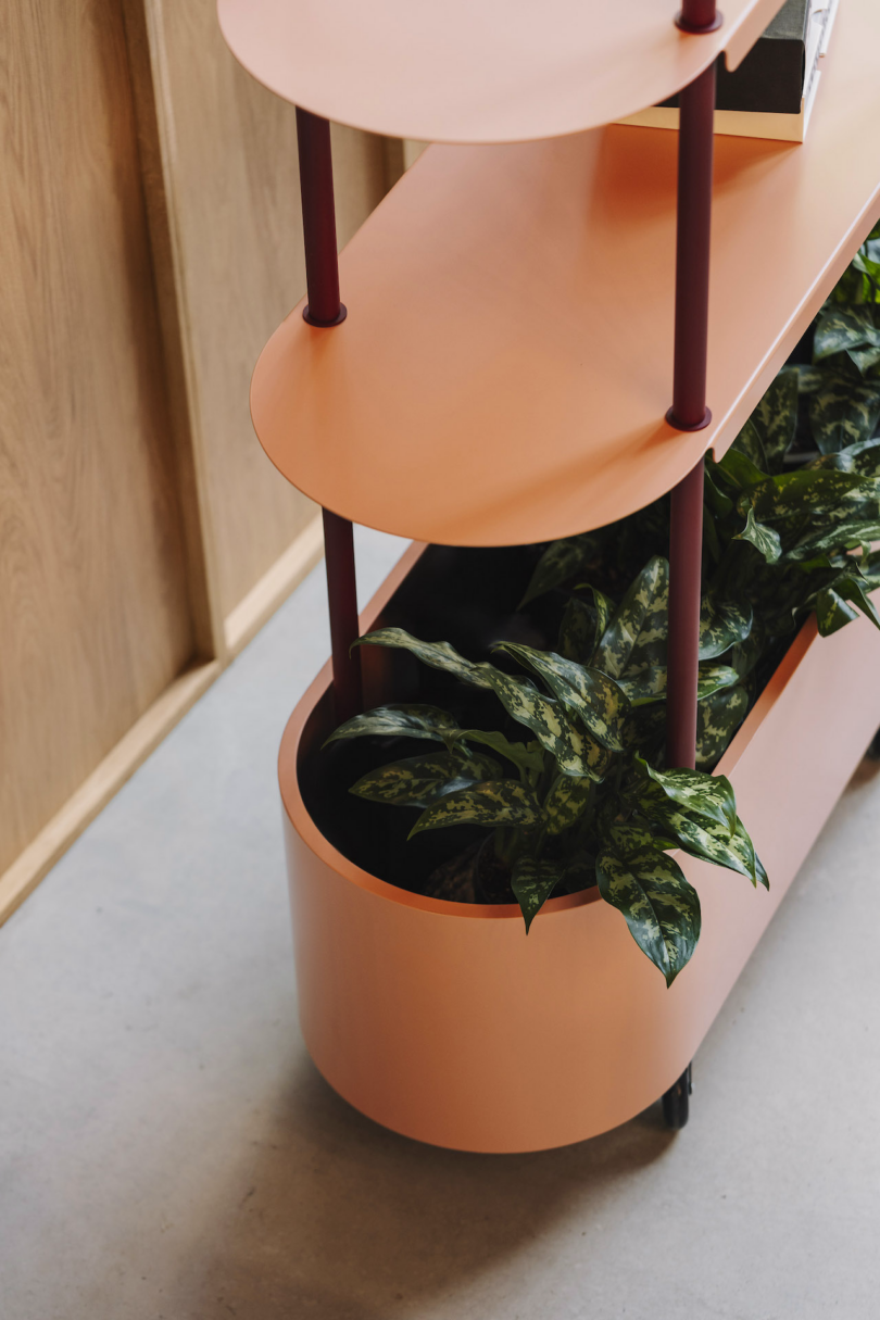 A peach-colored, oval-shaped shelf on wheels holds a potted green plant. The shelf is next to a wooden wall and has two tiers above the plant