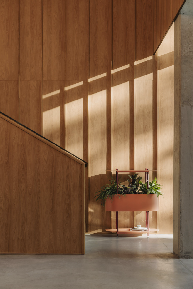 A minimalist interior with wooden walls, a staircase, and a small plant stand holding various green plants. Sunlight creates patterns on the wall