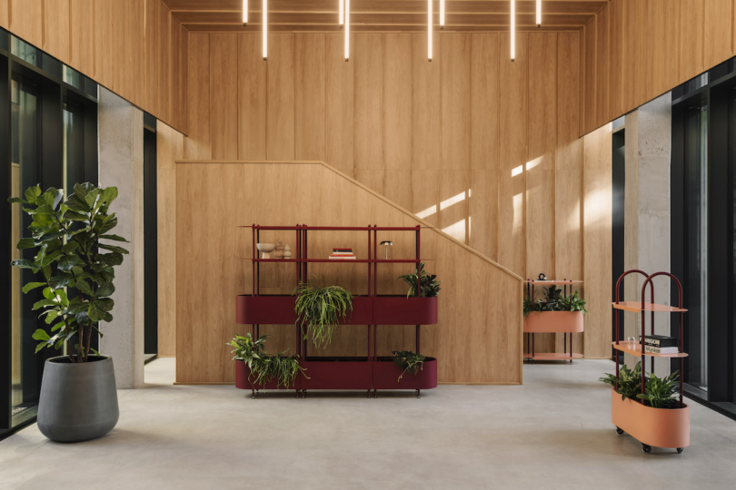 A modern lobby with wooden walls, overhead lights, and large windows. It features potted plants, a burgundy shelf with plants, and a peach cart with books. Minimalist and well-lit space