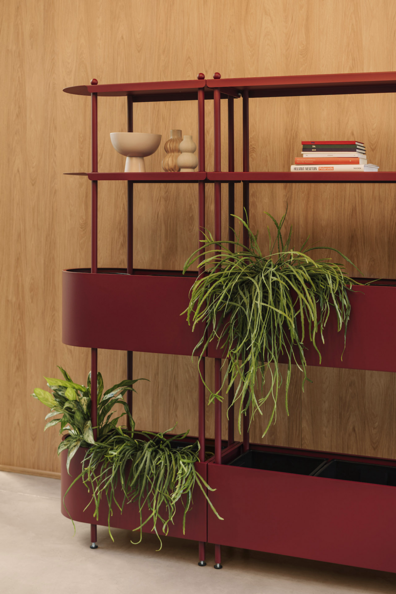 Red shelving unit with plants at the bottom, books, and decorative items on wooden backing