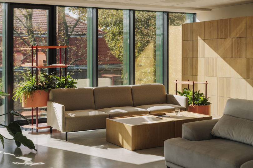 A modern living room with large windows, a beige sofa, a wooden coffee table, and potted plants, all bathed in natural sunlight