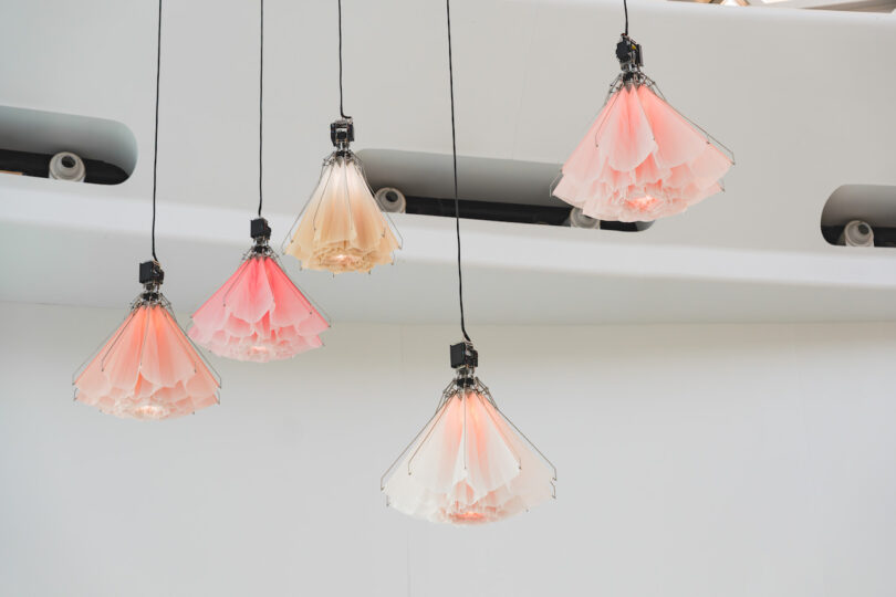 Five hanging pendant lights with pink and white kinetic flowers against a light background.