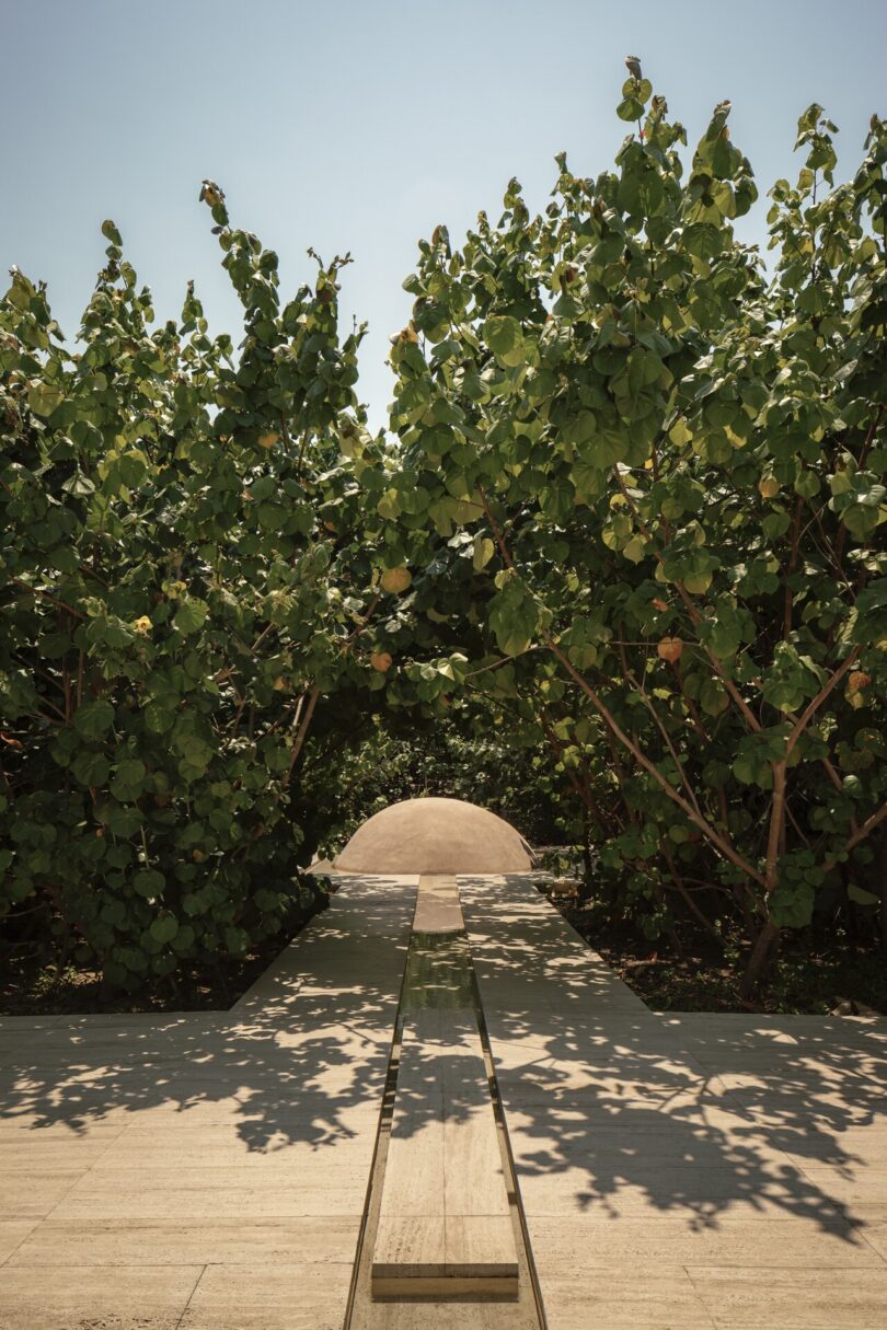 A narrow concrete path leads through lush green foliage toward a spherical stone structure under a clear blue sky.