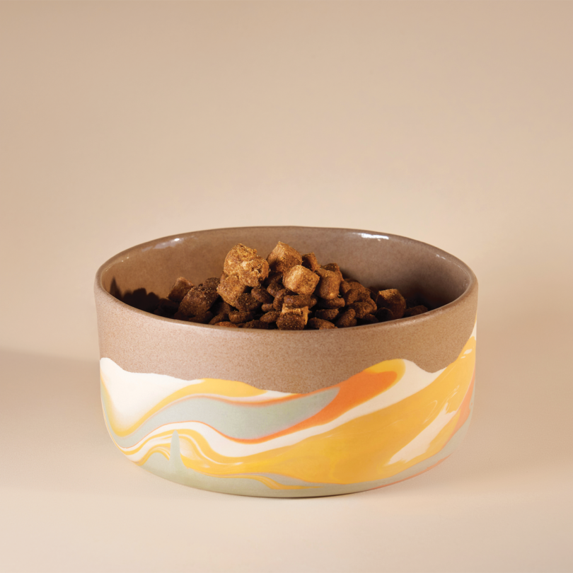 A ceramic bowl with a colorful swirl pattern, filled with dry pet food, placed on a neutral background