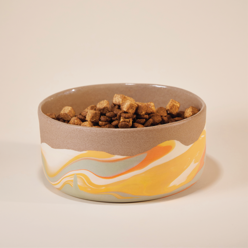 A round ceramic bowl with an orange and yellow swirl design, filled with brown pet kibble, is placed against a neutral background