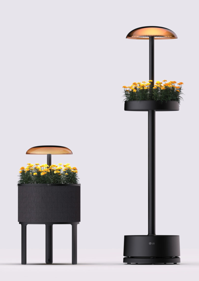 Two black planters with yellow flowers; the first is short and rectangular, the second is tall and round. Both have dome-shaped lights above the plants.