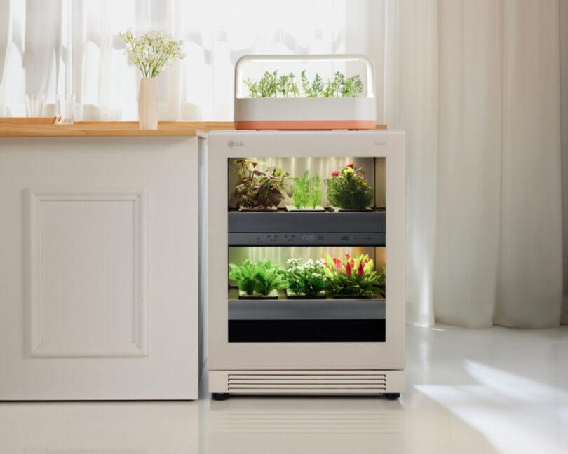 Indoor herb garden with two shelves of various plants in a sleek, white container set next to a cabinet in a bright room.