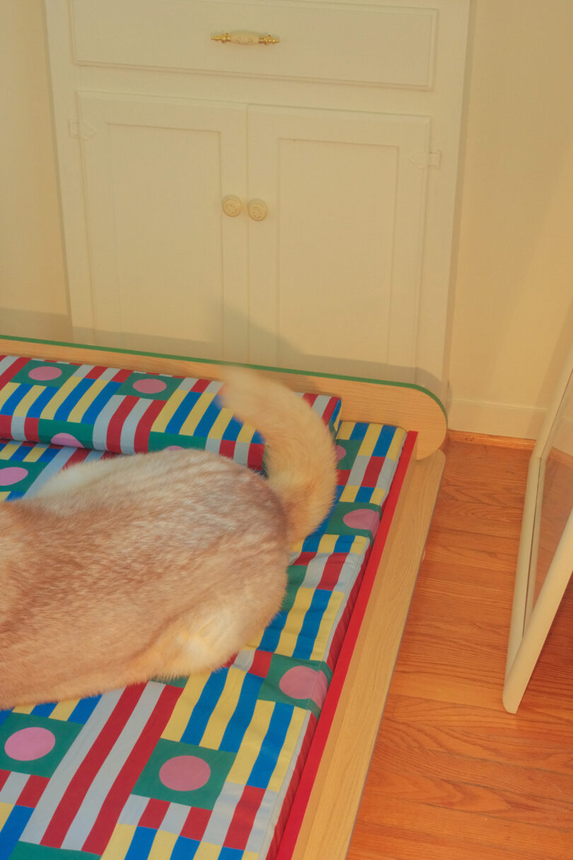 The tail and back of a cream-colored dog on a colorful striped mattress in a room with wooden flooring