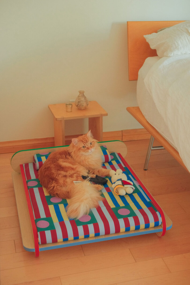 A fluffy orange cat sits on a colorful striped pet bed beside a wooden nightstand with a candle and vase. A soft toy is placed near the cat