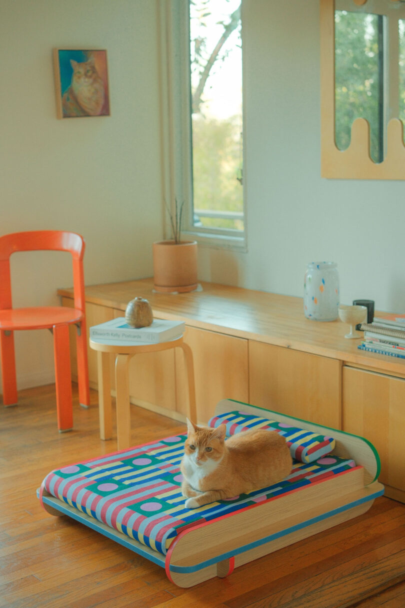 A cat sits on a colorful patterned bed in a bright room with wooden floors, a red chair, and a small table with books and a plant. A window shows outdoor greenery