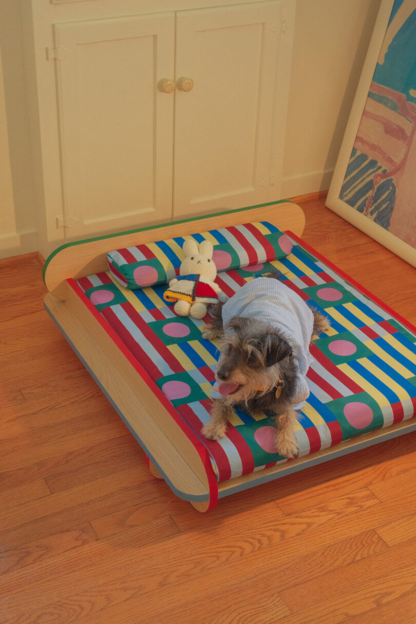 A dog wearing a blue sweater sits on a colorful dog bed with a stuffed toy. The room has hardwood floors, a cabinet, and framed art leaning against the wall