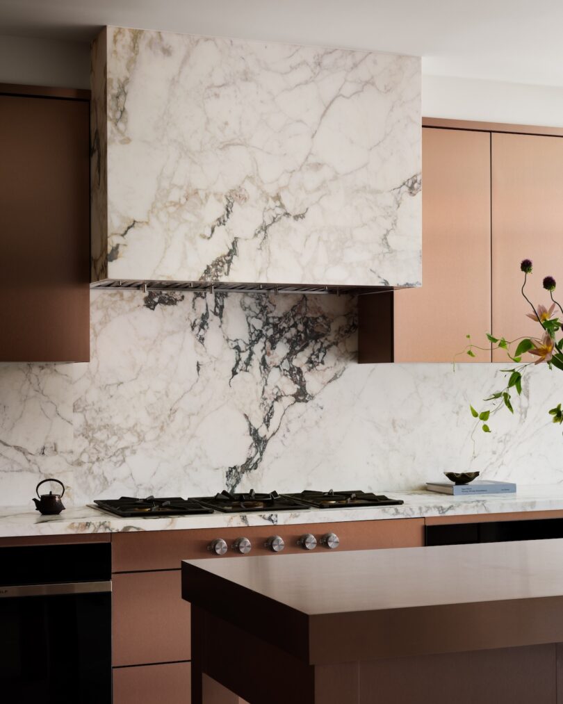 Modern kitchen with a marble backsplash and countertop, featuring a stove, metal knobs, and a decorative plant.