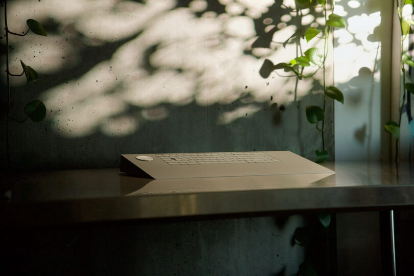 A modern keyboard on a desk with sunlight casting leaf shadows on a concrete wall.