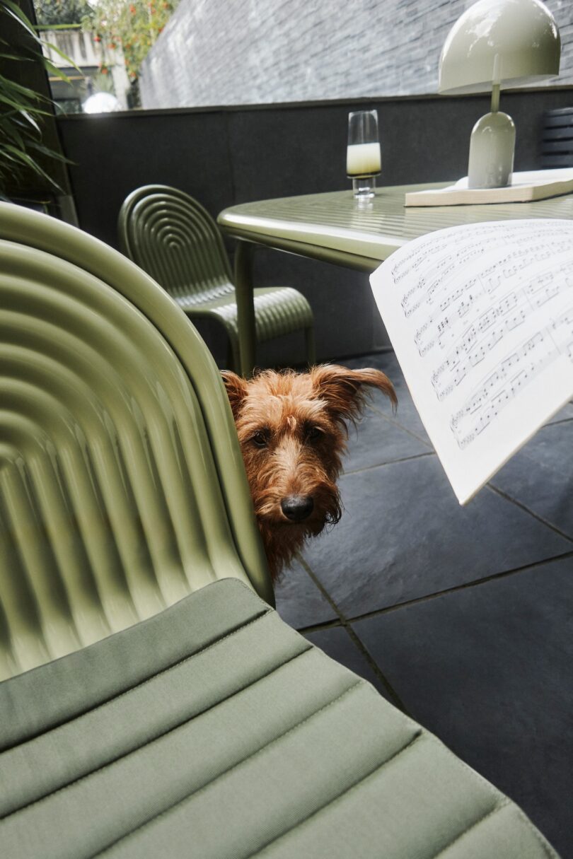 A dog peeks between green chairs on a patio, with a table in the background. Sheet music is held in the foreground