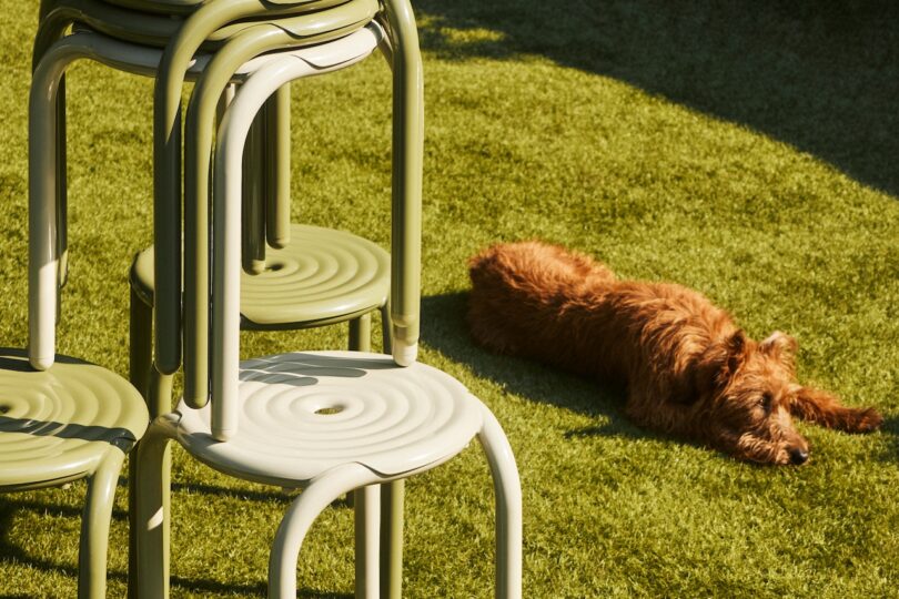 A stack of green stools is on a grassy lawn. A brown dog lies on the grass in the sunlight nearby