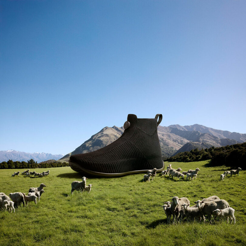 A large black shoe is placed in a grassy field with a flock of sheep. Mountains and blue sky are in the background.