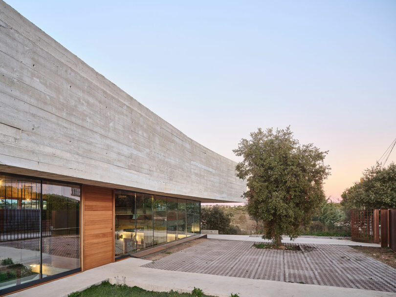 Modern concrete building with large glass windows, adjacent to a tree on a paved courtyard, under a clear sky.