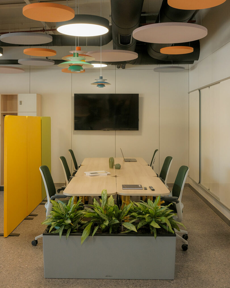 Modern conference room with a long table, several chairs, a TV on the wall, overhead lighting, and a planter with greenery.