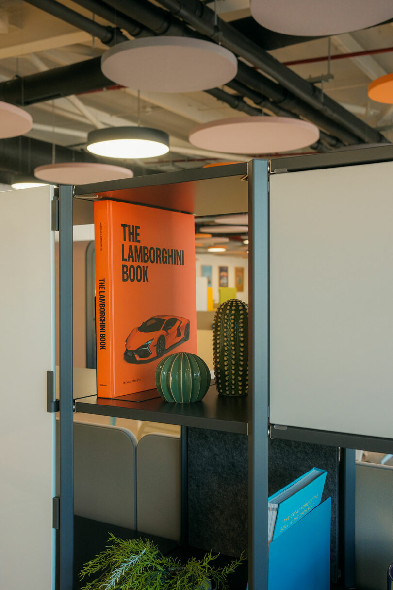 Orange book titled "The Lamborghini Book" is on a shelf next to two decorative cacti and other books in a modern office space.