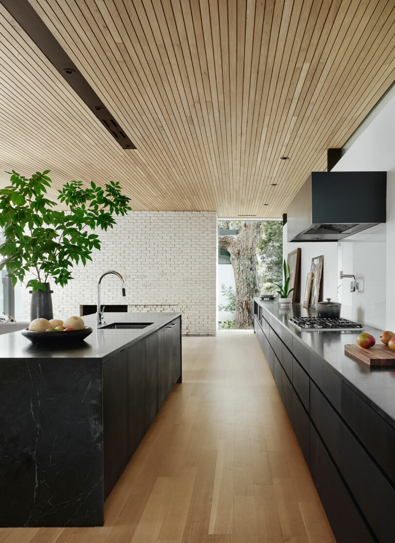 Cocina moderna con techo de madera, encimeras negras y pisos de madera clara. Gran planta en la isla, un árbol visible a través de una ventana y frutas.