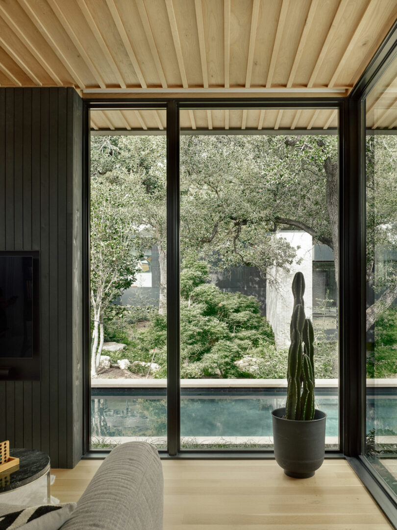 Sala de estar con grandes ventanas con vistas a un jardín y una piscina. Un alto cactus en maceta está junto a la ventana. El techo de madera claro y el piso, y una pared oscura con un televisor son visibles.