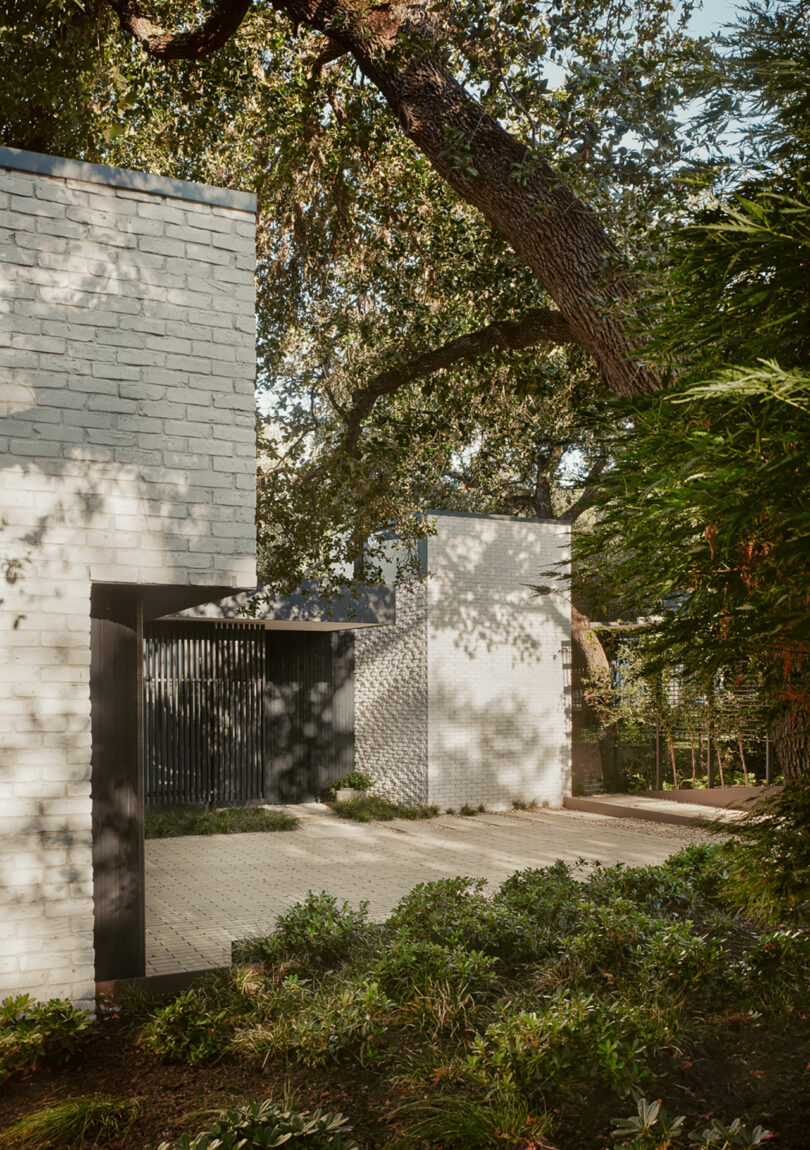 El moderno edificio de ladrillo blanco con diseño rectangular, rodeado de árboles y vegetación bajo la luz solar elegante.